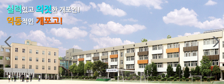 개포고등학교 개포고등학교