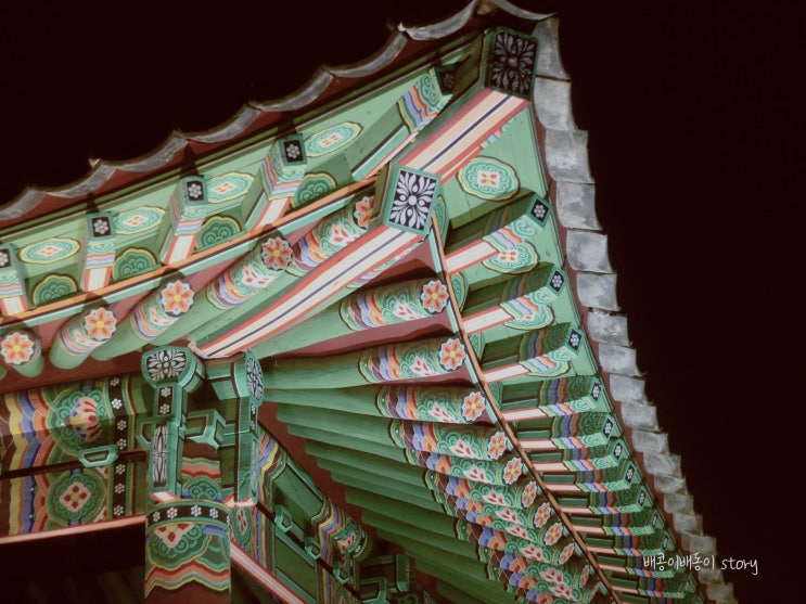  고창읍성 야경 감성적인 가족나들이 입장료 무료