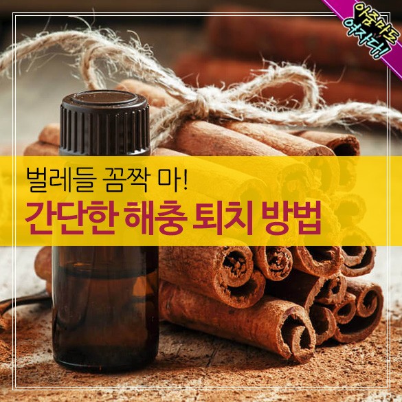  간단한 해충 퇴치방법