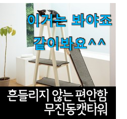 인생템 소형캣타워 핫한 제품 너무 맘에듭니다