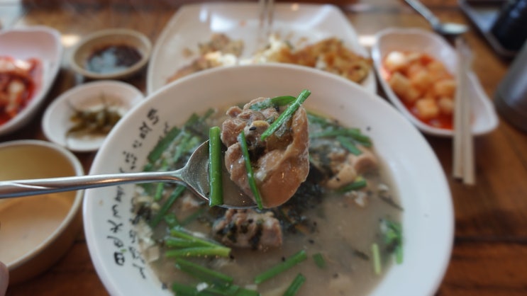  제주 숲애 조천읍 깔끔한 칼국수,모밀 맛집