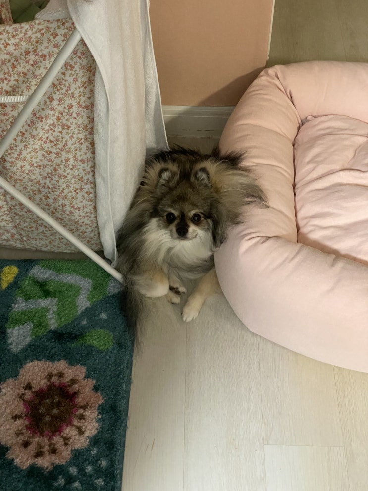  구겨진 꾸꾸
