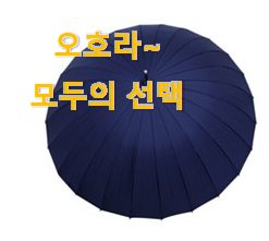  알토란같은 자동장우산 구매 LIST 과장님이 알아봐주네요.