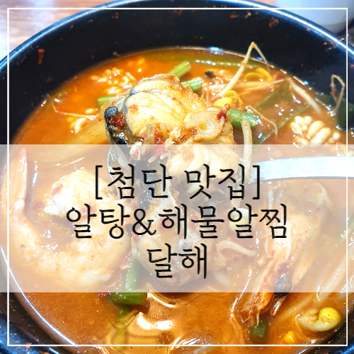[첨단 맛집] 알탕&해물알찜 '달해'