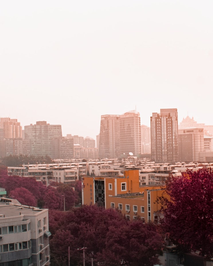  아파트 청약가점점수 계산