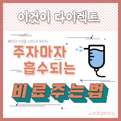  관엽 식물영양제 세 번째 / 엽면시비 제대로 하기!