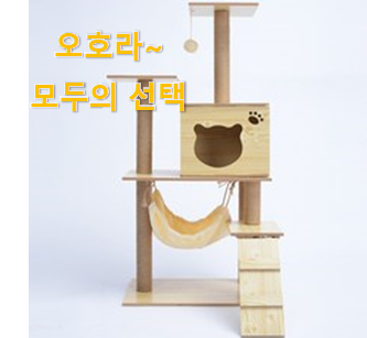  선물하고픈 고양이캣타워 목록 선물로도 좋을거같네요