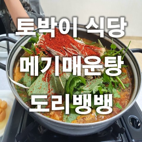  충북 옥천 맛집 : 토박이식당 (메기매운탕, 도리뱅뱅)