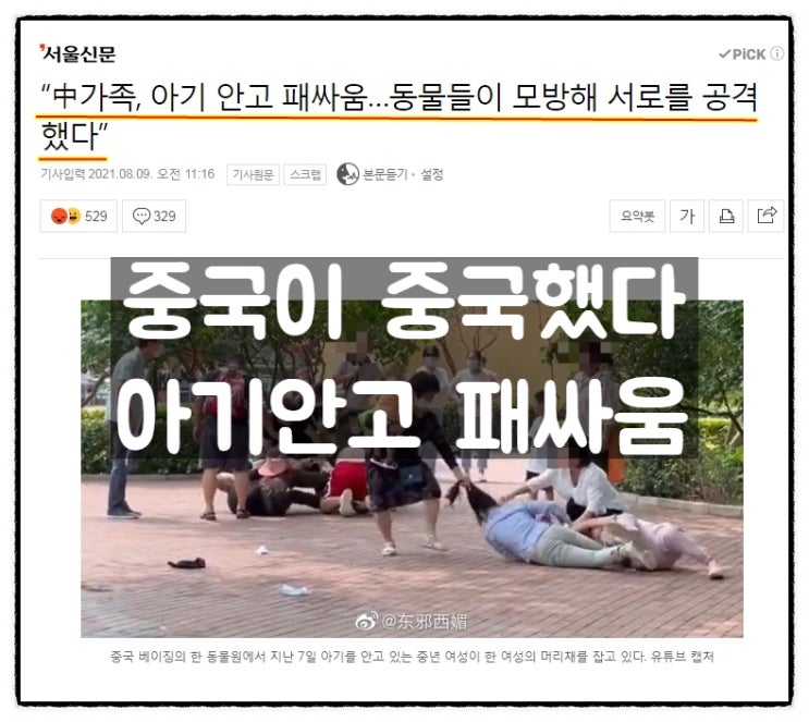 '중국이 중국했다', 베이징 동물원에서 아기안고 패싸움