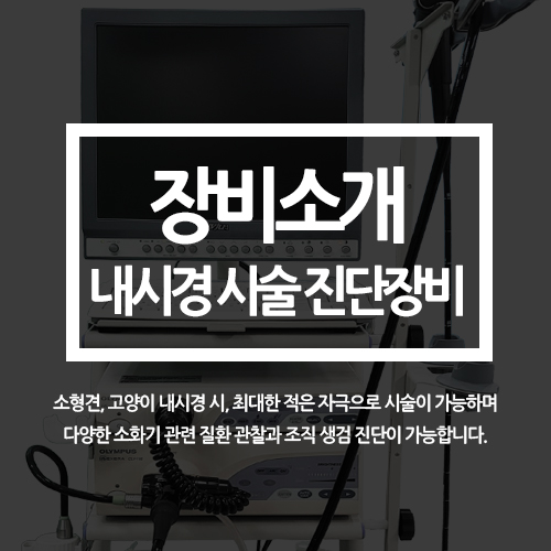  내시경 시술 진단장비 (센텀동물메디컬센터, 5.5mm 스코프, 적은 자극, 생검, 소화기 질환 관찰)