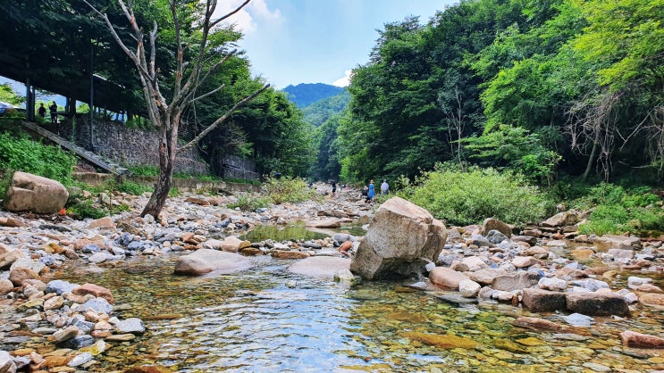 [충북괴산] 물이 너무 깨끗했던 갈론계곡, 막바지 여름 물놀이 :)