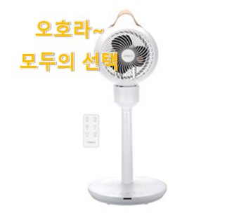  요즘유행 리모컨선풍기 제품 정말 만족한다구요.