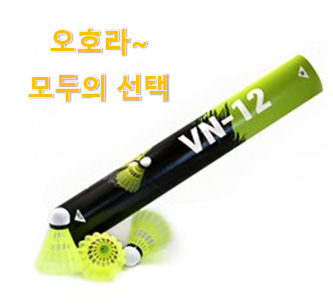 알뜰신상 베드민턴셧틀콕 베스트 순위 맘에 이렇게 쏙 들어요.