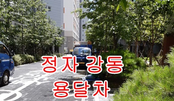 정자용달 강동 신명 양남 읍천 주전 용달차 정자용달 강동 신명 양남 읍천 주전 용달차