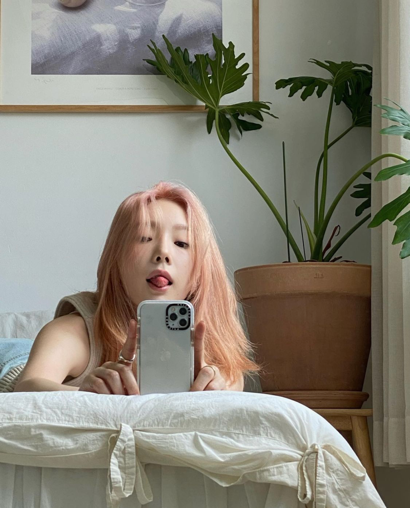 용감한 수호자 유형 ISFJ 연예인과 팩폭 : 태연, 셔누 mbti