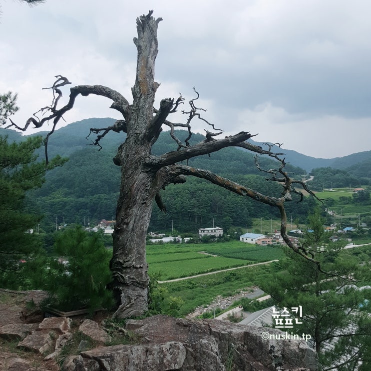  강원도 화암 8경 중 몰운대와 화암 약수, 그리고 드라이브