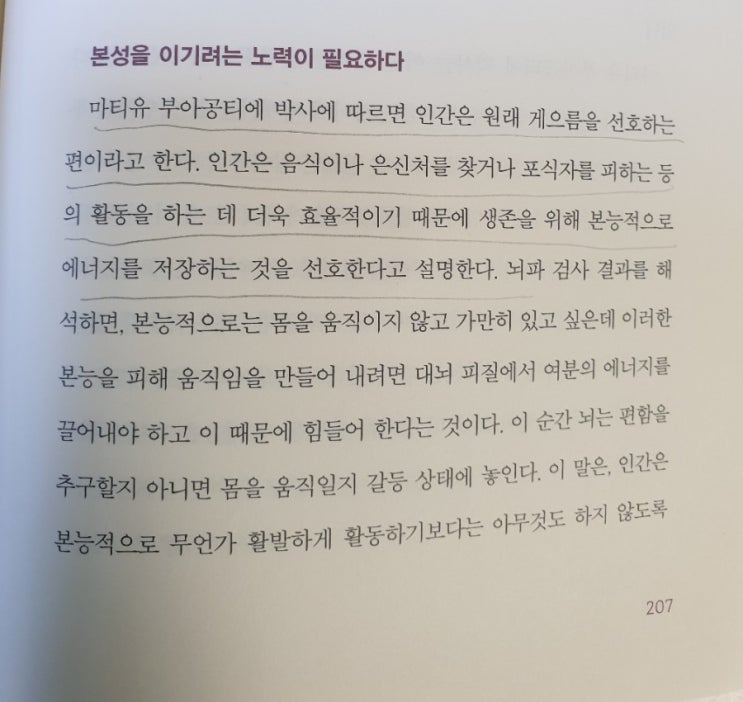  미루는 습관이 게으른 완벽주의자? 책 데일리 루틴 / 뇌를 알고 행복해졌다