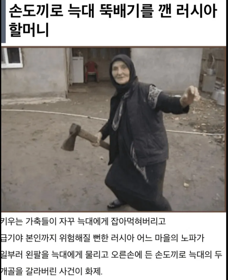  흔한 러시아의 할머니