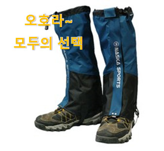  역대최고 다리토시 핫한 꿀템 인터넷을 뜨겁게 달궜대요