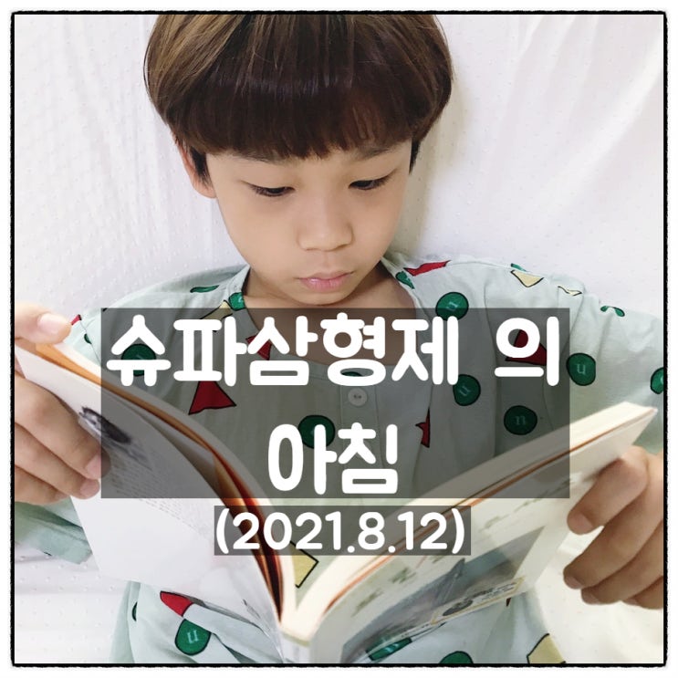  2021년 8월 12일 슈파삼형제의 아침 (책읽기, 씨몽키 보살피기)