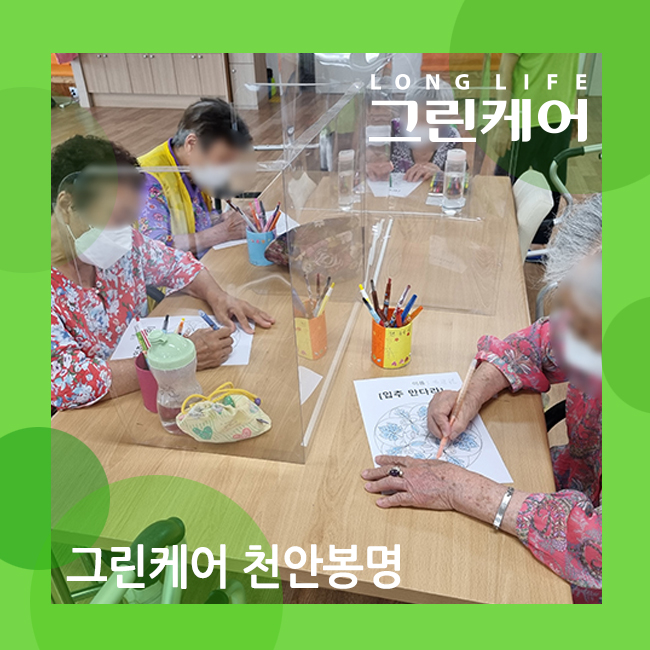  천안봉명실버케어 인지 기능 향상 만다라 색칠하기 어르신들과 함께