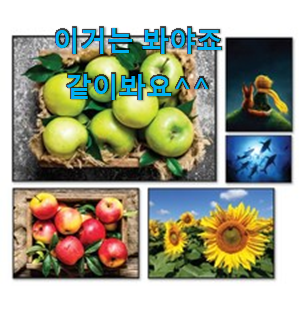 후기로대박난 와사비 가성비 추천 선물로도 좋을거같네요 후기로대박난 와사비 가성비 추천 선물로도 좋을거같네요