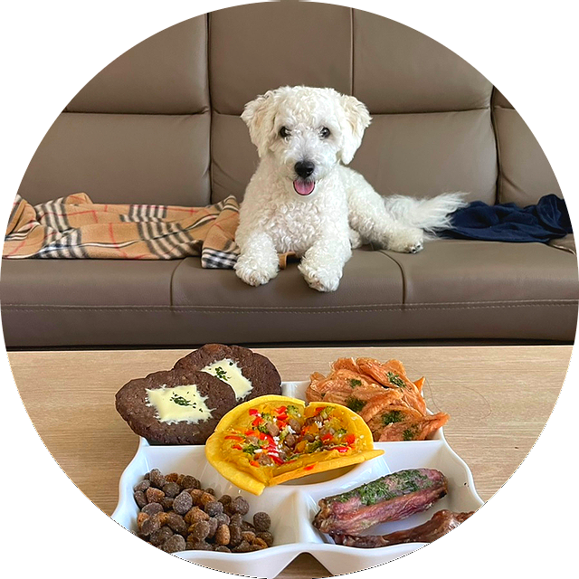  강아지 생일파티 간식 견생사진 보장 : 건강하개 수제간식