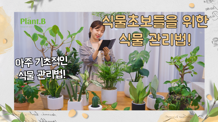  초보도 쉽게 따라할 수 있는 식물 키우기 기초편!