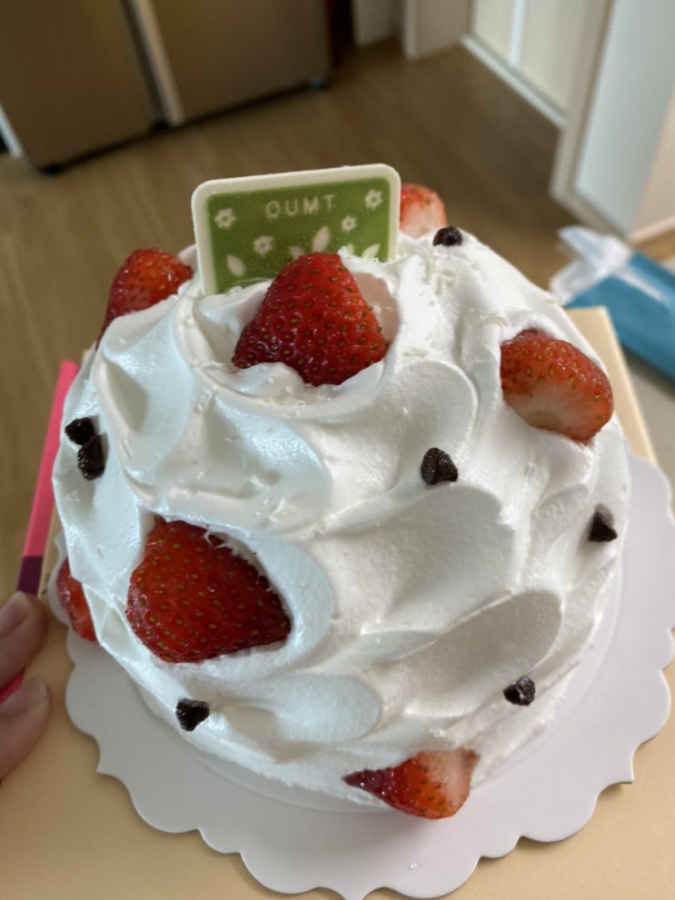  대구 신세계백화점 케이크 움트 Oumt