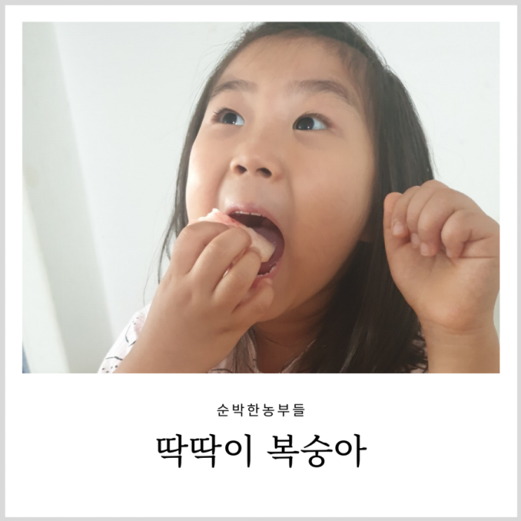 순박한농부들 딱딱이 복숭아 아삭하고 맛있어요 순박한농부들 딱딱이 복숭아 아삭하고 맛있어요