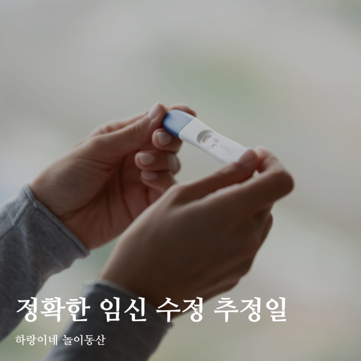  생리 불규칙 임신 언제 된걸까 생리불순 수정일 추정 배란일 계산법