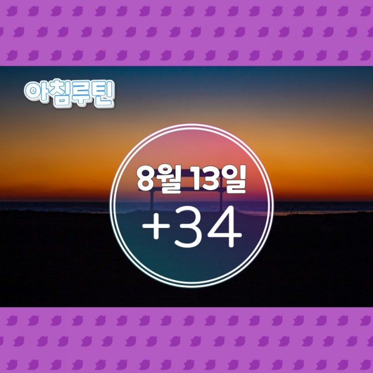  8월 13일 아침루틴
