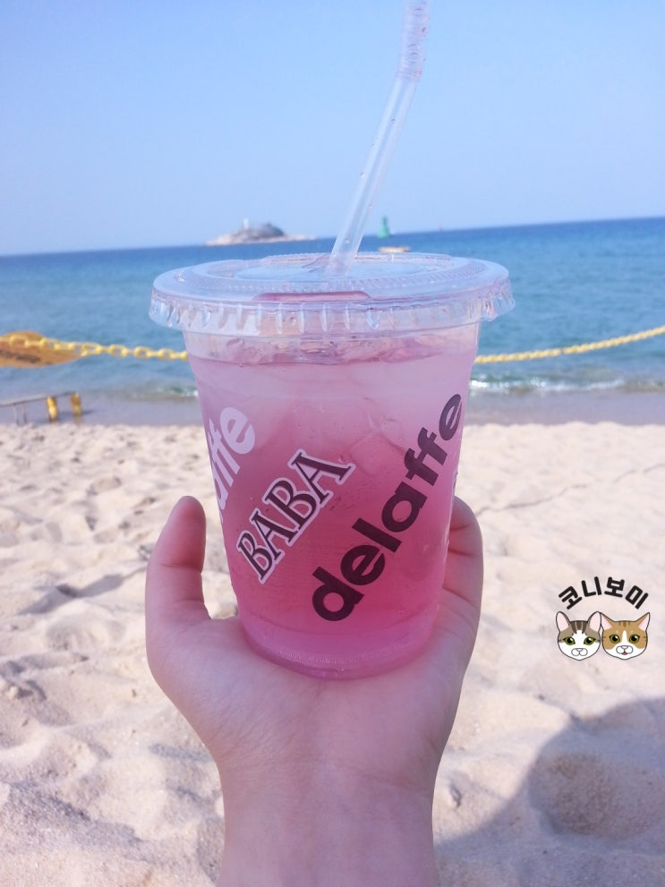 추억여행_2014년의 지극히 개인적인 추억들 추억여행_2014년의 지극히 개인적인 추억들