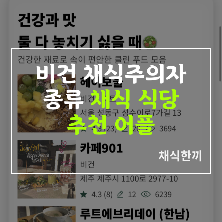 비건 뜻 채식주의자 종류 식단 채식 식당 어플 앱 추천: 채식한끼