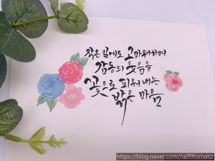  그 사랑 놓치지 마라/이해인