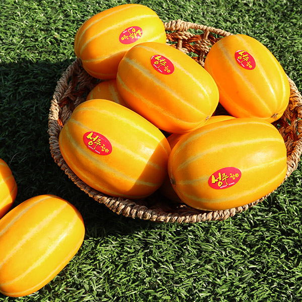인기있는 달콤한 꿀단지 성주 참외 4kg 8-13과 좋아요 인기있는 달콤한 꿀단지 성주 참외 4kg 8-13과 좋아요