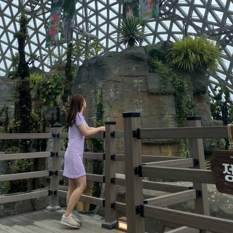 여름 원피스 하면 라코스테 울트라 슬림핏 pk원피스 #라코스테#라코스테피케원피스#보라원피....