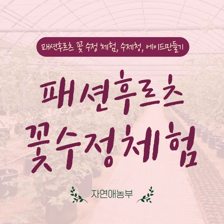  울산 이색데이트 도심을 벗어나 패션후르츠 체험농장 데이트