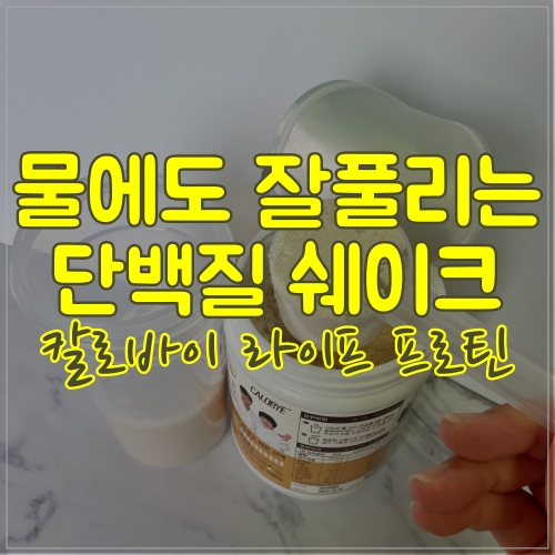  단백질 쉐이크는 칼로바이 라이프 프로틴으로 결정했어요.