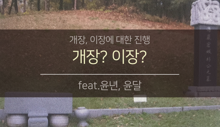 개장? 이장? (feat.윤년/윤달)