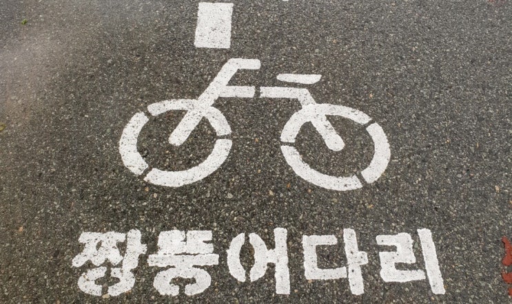  [신안 증도] ‘엘도라도 리조트’ 내 돈 내산 후기와 근처 가볼 만한 곳 이름도 귀여운 ‘짱뚱어 다리’