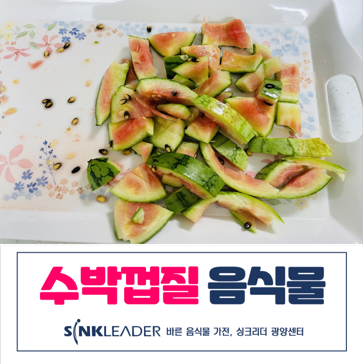 수박껍질 음식물 쓰레기 처리기 싱크리더로 마음 편하게(feat. 광양센터)