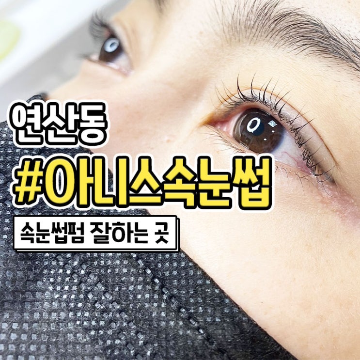  연산동 속눈썹 펌 잘하는 아니스속눈썹