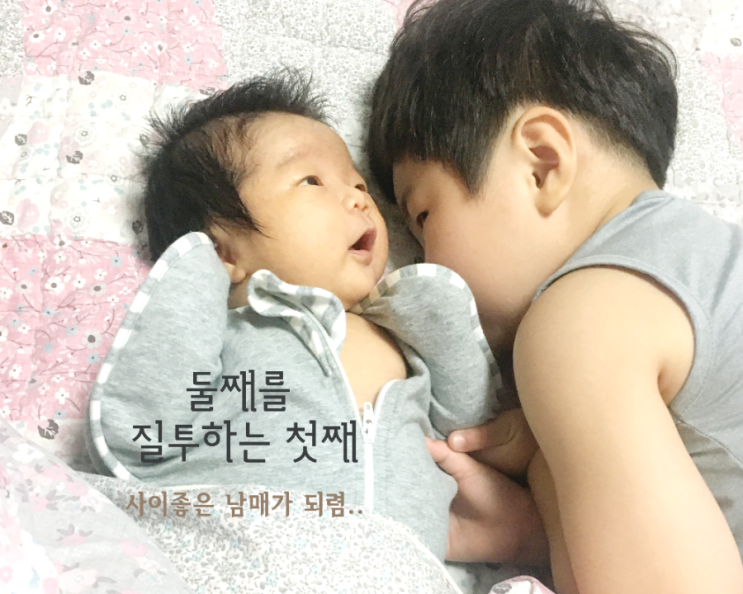  둘째 질투 하는, 첫째 어떻게 해야 할까요?