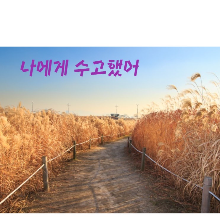  [내안의 나]