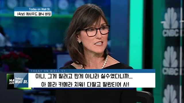  ARK펀드 캐시우드 팔란티어 패닉 바잉 어멋 이건 사야해!