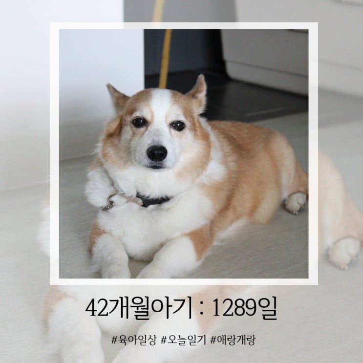  1289일, 아직은 무섭지만 우리는 가족