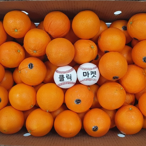 선호도 높은 클릭마켓 고당도 퓨어스펙 블랙라벨 오렌지 대과 추천해요 선호도 높은 클릭마켓 고당도 퓨어스펙 블랙라벨 오렌지 대과 추천해요