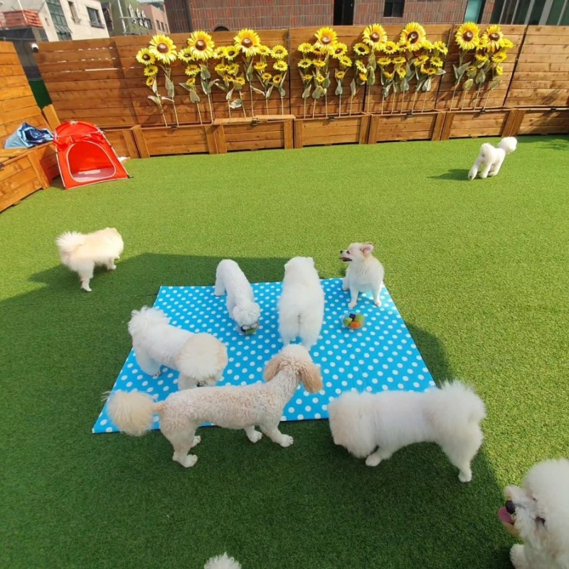 사진 7