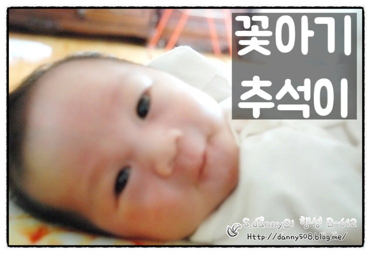 [육아일지] 꽃아기 추석이의 2011년 6월 24일 추억